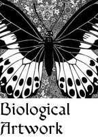 BIOLOGICAL ARTWORK
